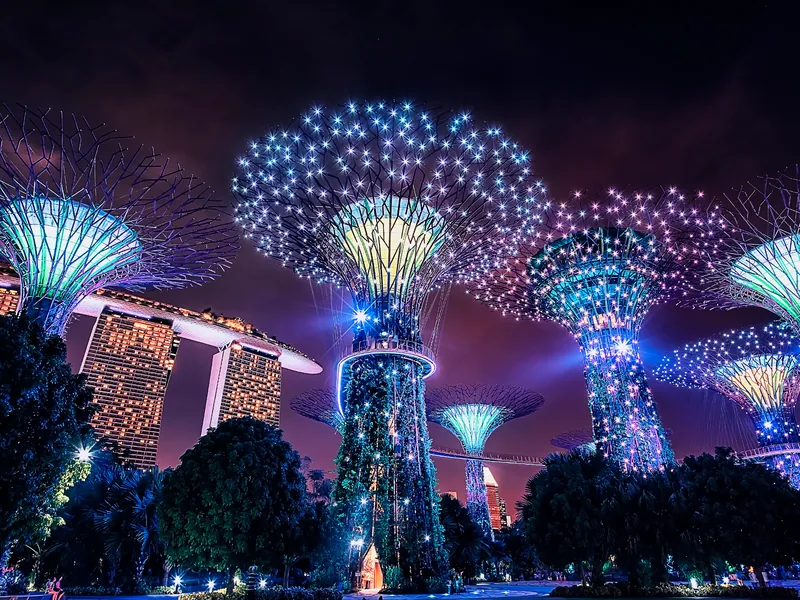 The Supertrees during the evening light show, lit in blue and purple