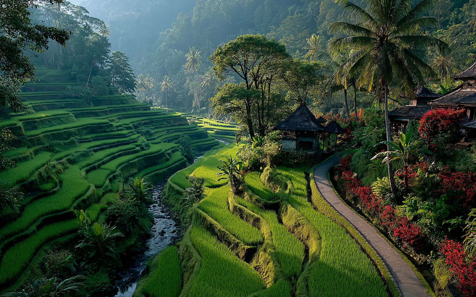 A narrow path between steep green rice terraces with thatched huts
