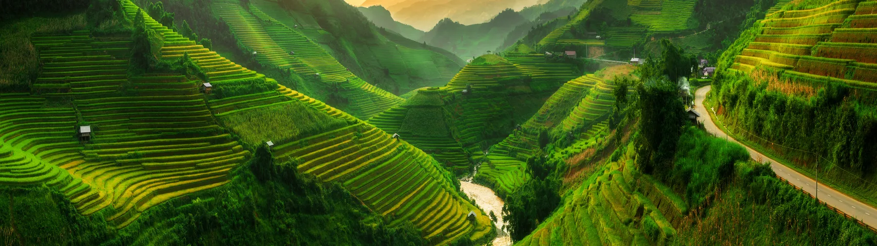 Rice terraces filling a valley in the northern Vietnamese highlands